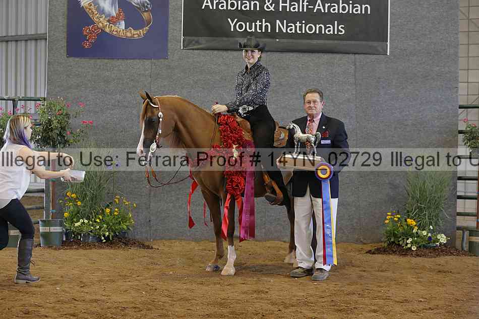 Proof 14yn_02729