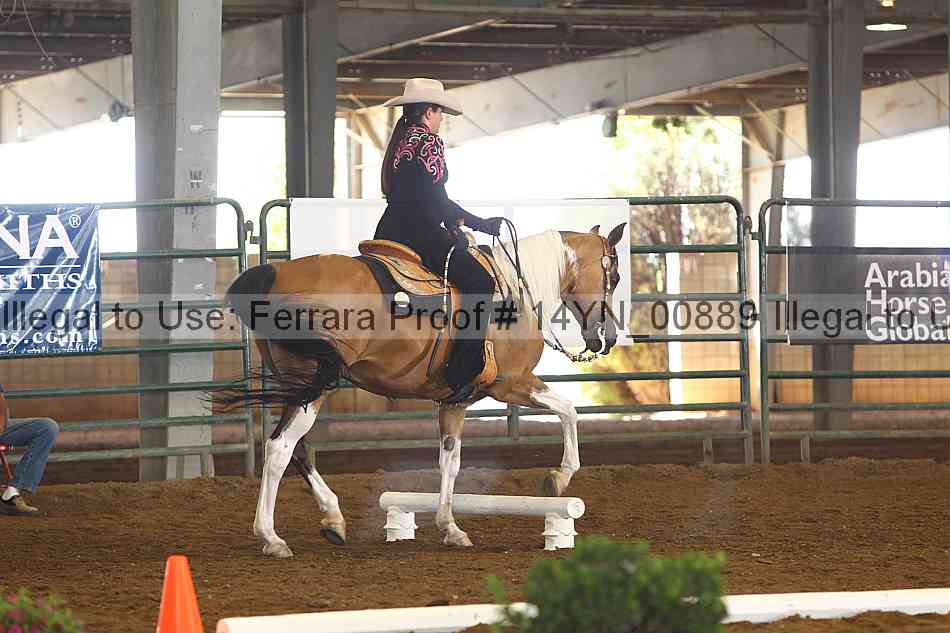 Proof 14yn_00889