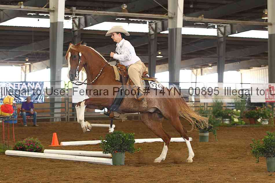 Proof 14yn_00895