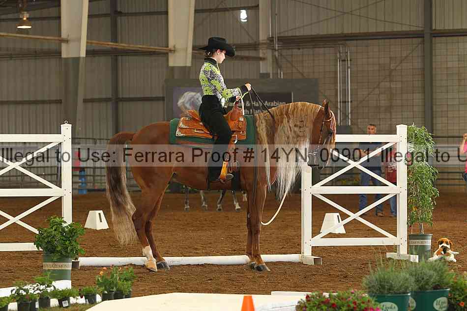 Proof 14yn_00901
