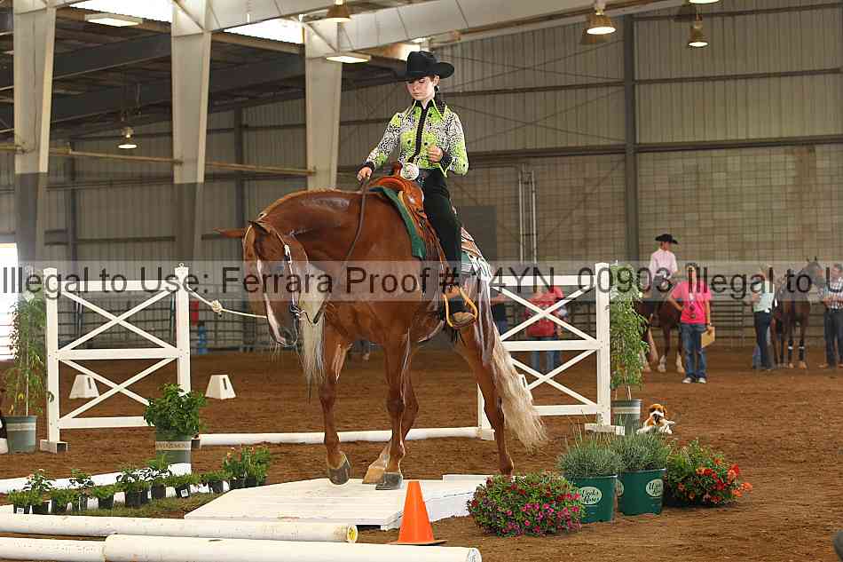 Proof 14yn_00903