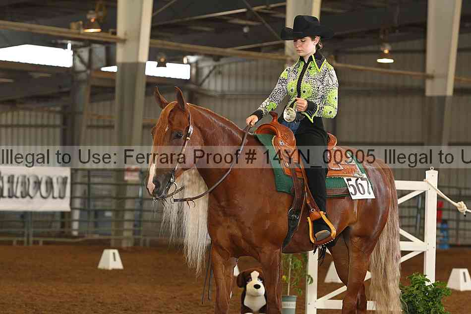 Proof 14yn_00905