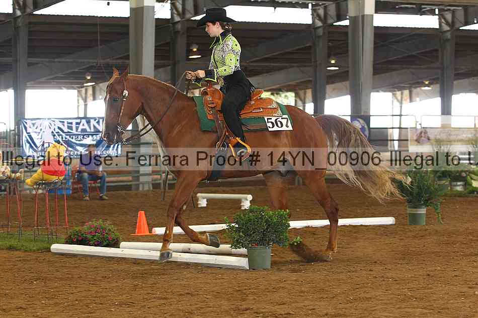 Proof 14yn_00906