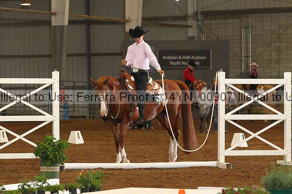 Proof 14yn_00907