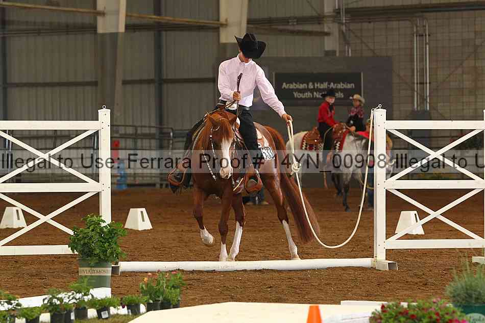 Proof 14yn_00908