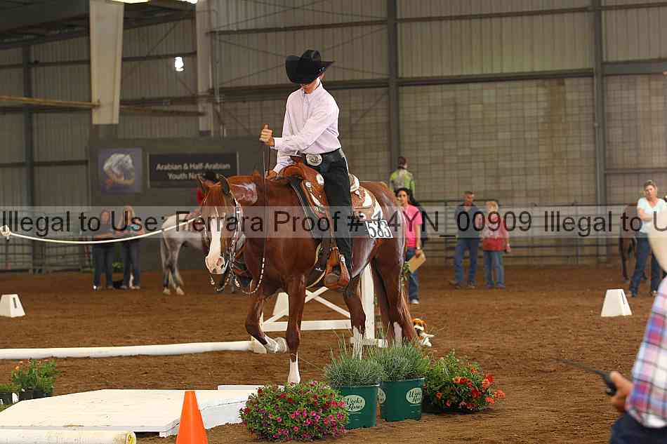 Proof 14yn_00909