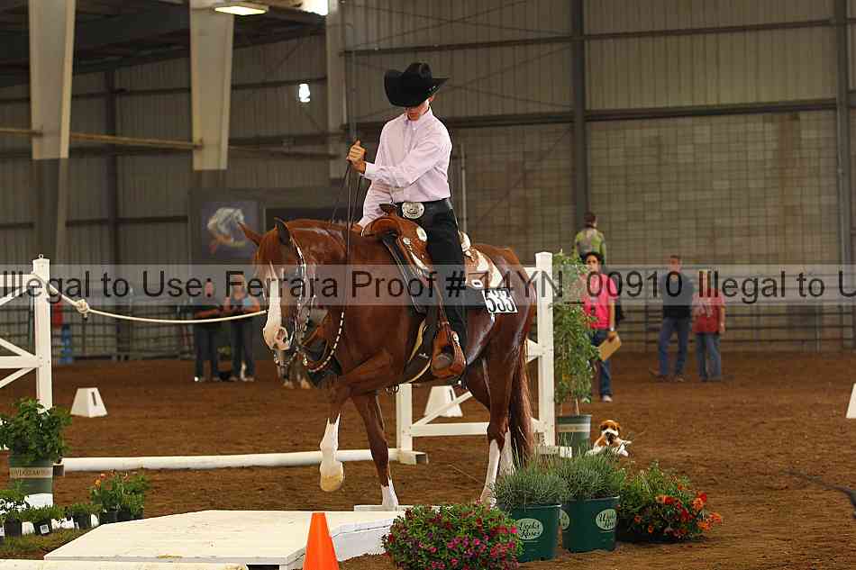 Proof 14yn_00910