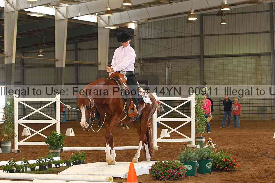 Proof 14yn_00911