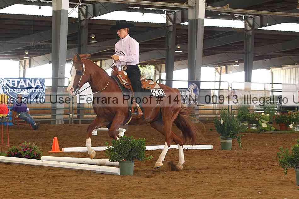 Proof 14yn_00913