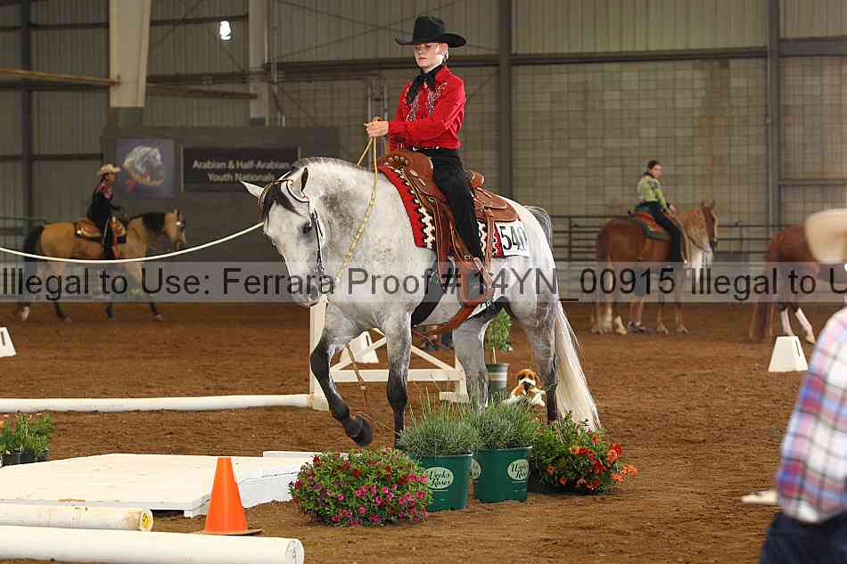 Proof 14yn_00915