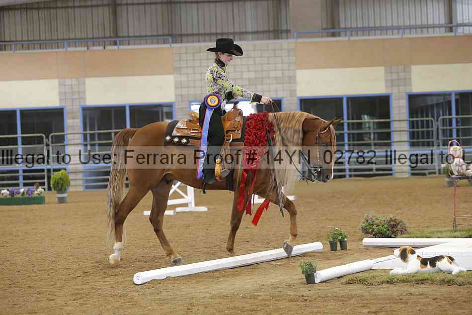 Proof 14yn_02782