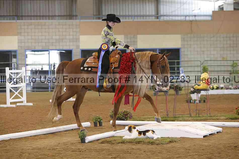 Proof 14yn_02783