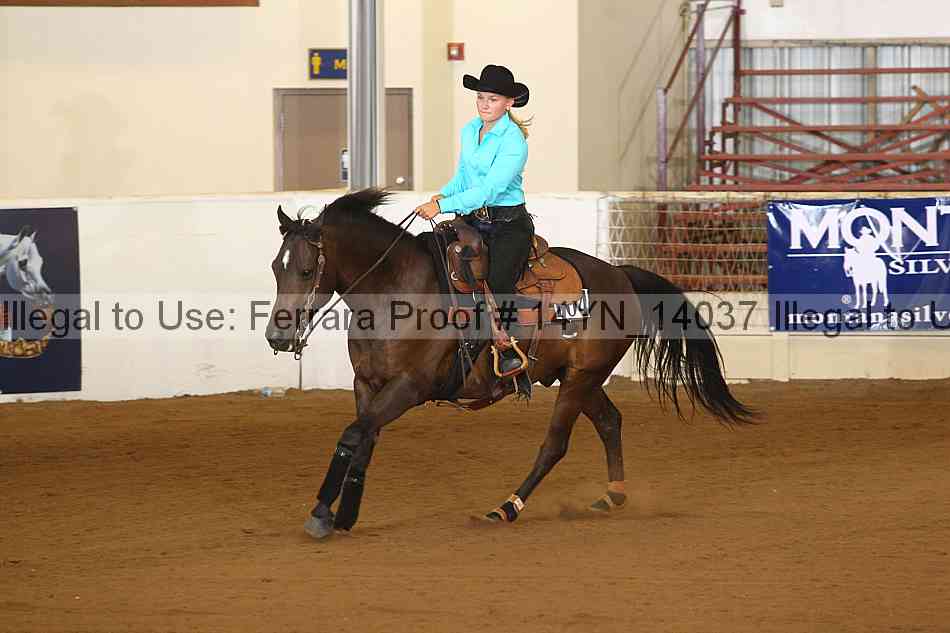 Proof 14yn_14037