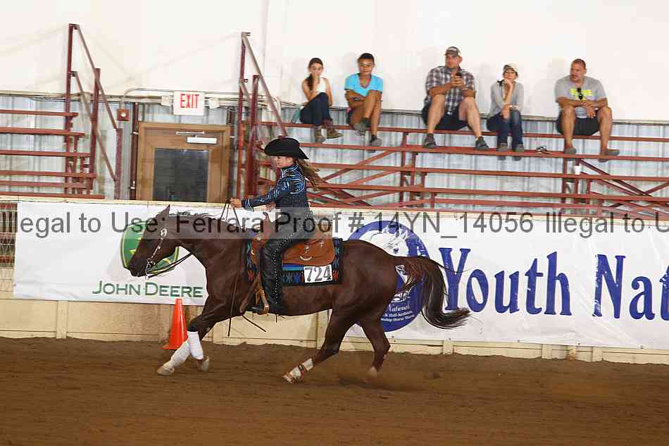 Proof 14yn_14056