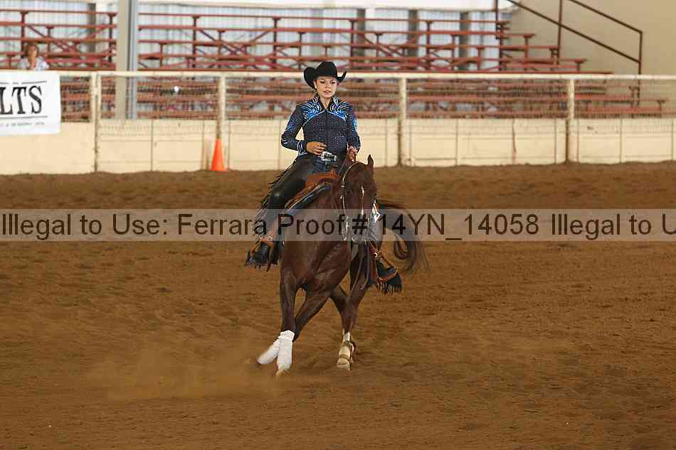 Proof 14yn_14058