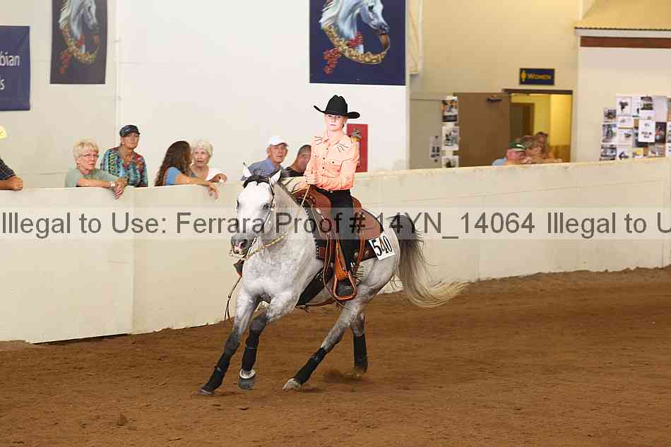 Proof 14yn_14064