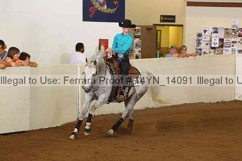 Proof 14yn_14091