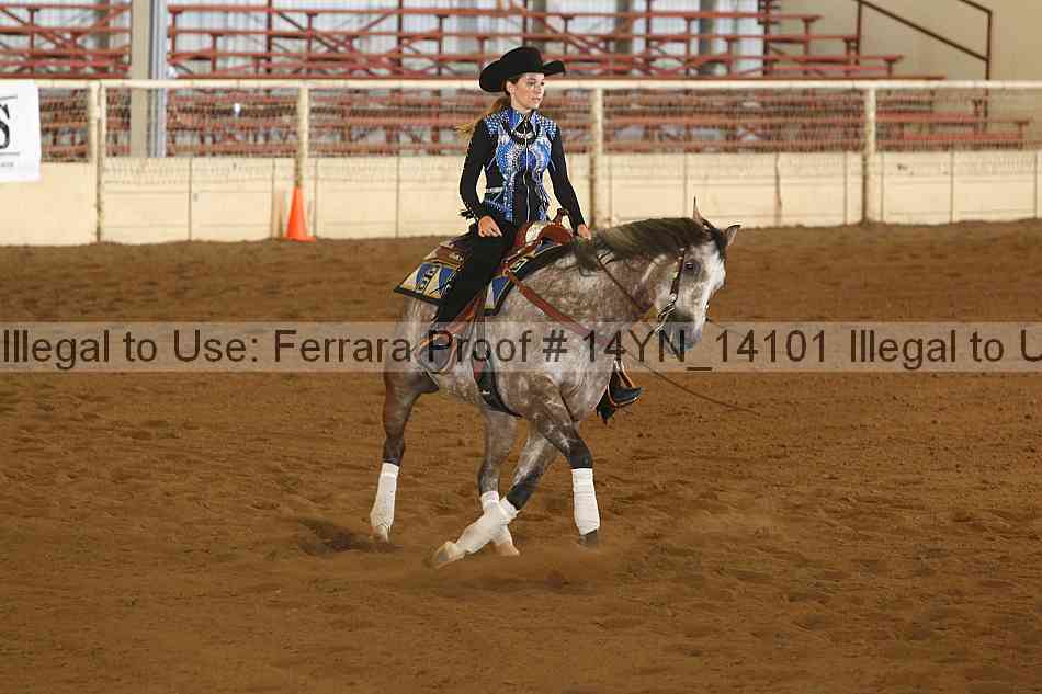 Proof 14yn_14101