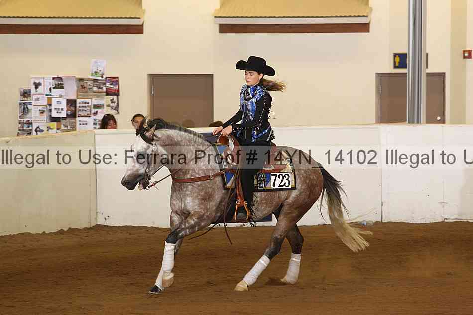 Proof 14yn_14102