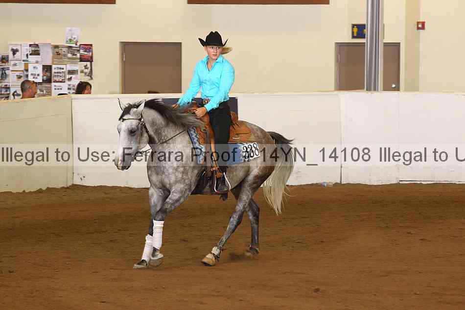 Proof 14yn_14108