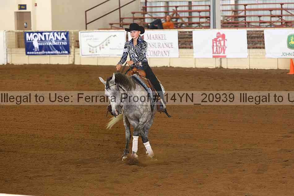 Proof 14yn_20939