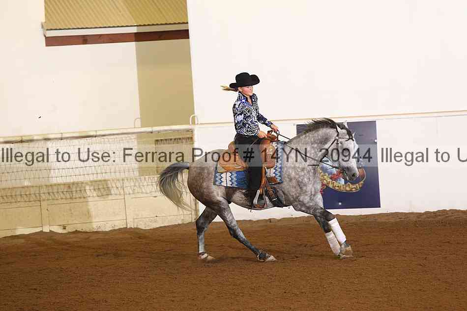 Proof 14yn_20944