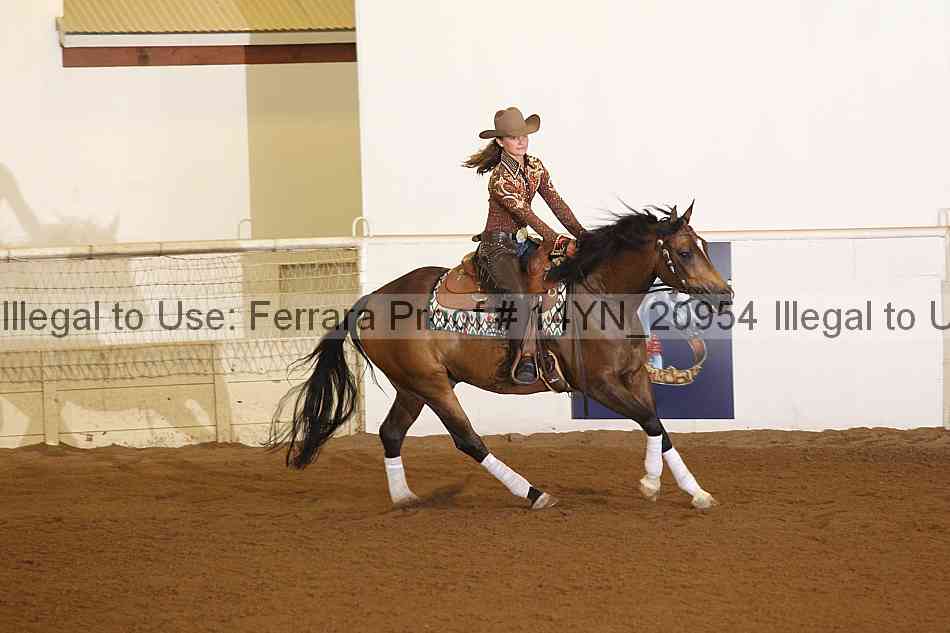 Proof 14yn_20954