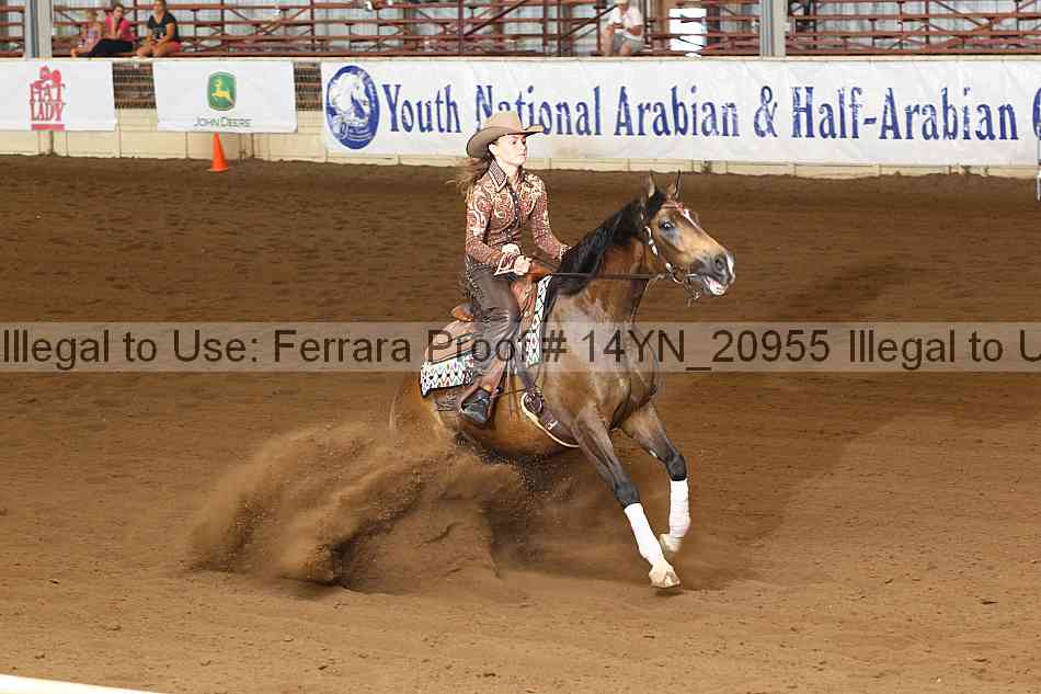 Proof 14yn_20955