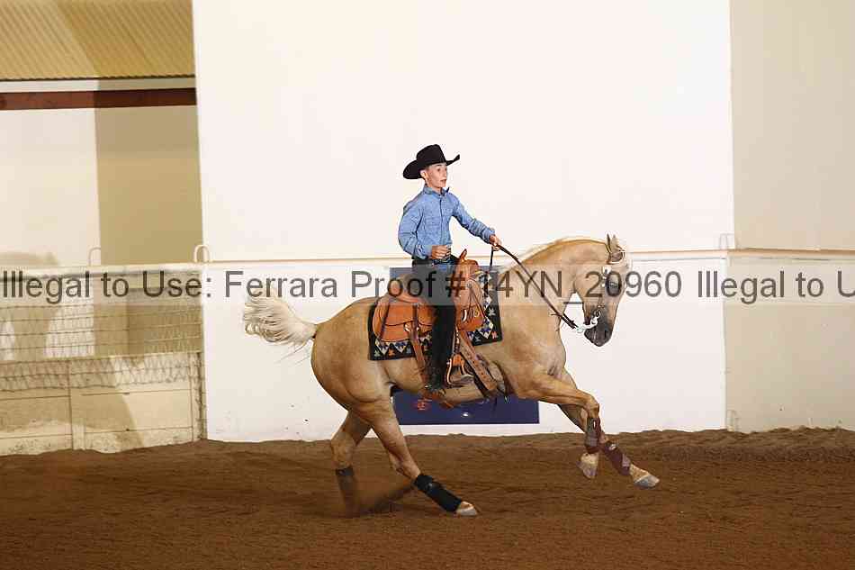 Proof 14yn_20960