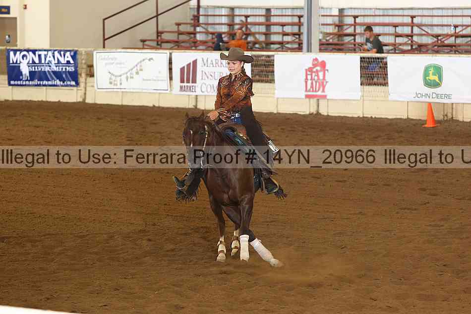 Proof 14yn_20966