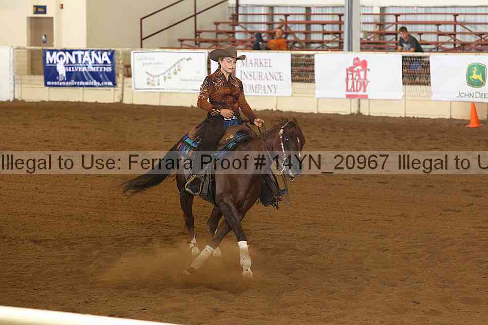 Proof 14yn_20967