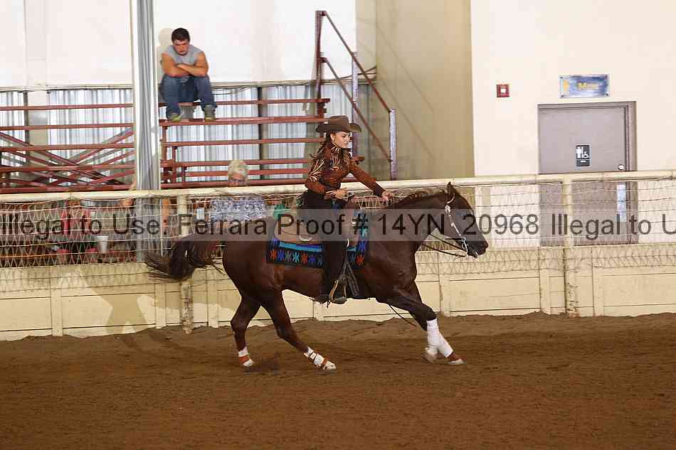 Proof 14yn_20968