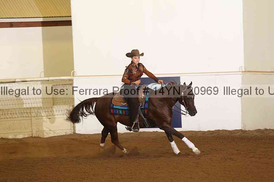 Proof 14yn_20969