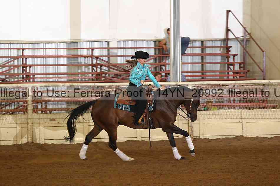 Proof 14yn_20992
