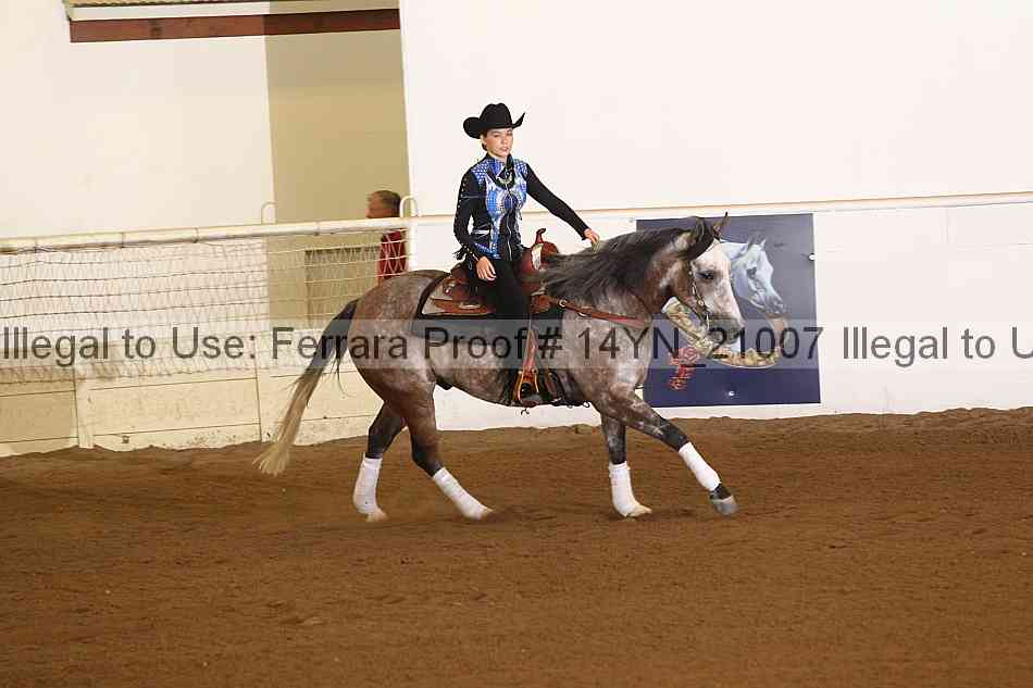 Proof 14yn_21007