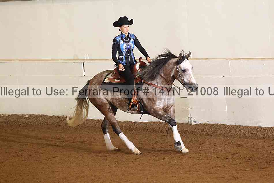 Proof 14yn_21008