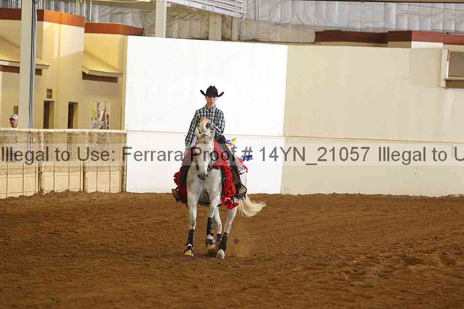 Proof 14yn_21057