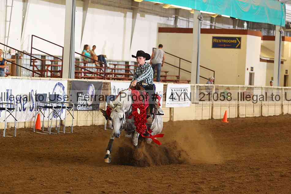 Proof 14yn_21058