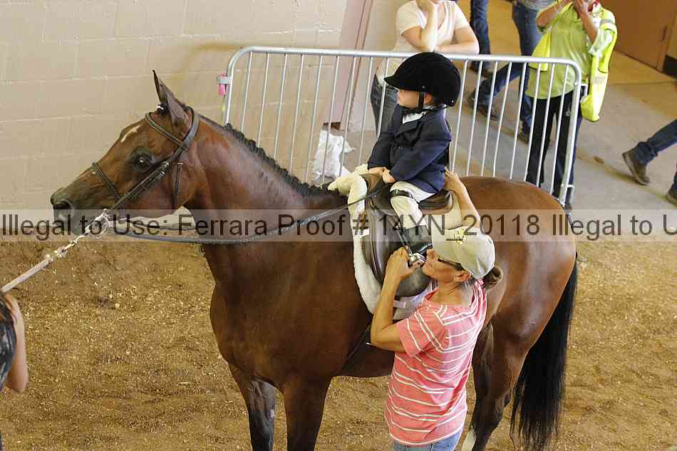 Proof 14yn_20118