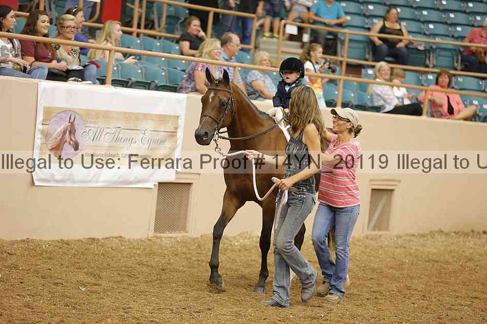 Proof 14yn_20119