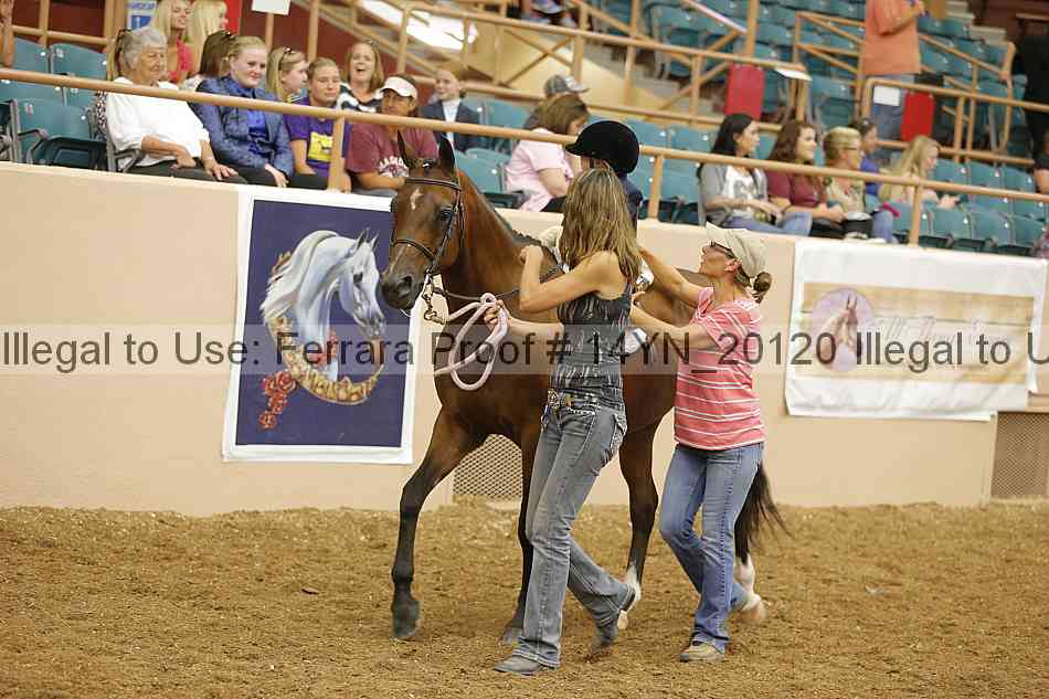 Proof 14yn_20120