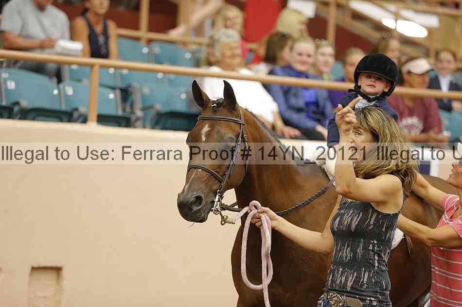 Proof 14yn_20121