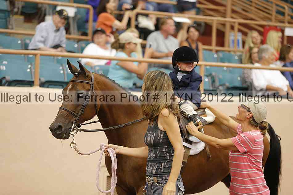 Proof 14yn_20122