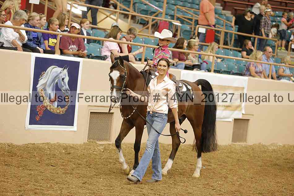 Proof 14yn_20127
