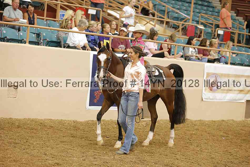Proof 14yn_20128