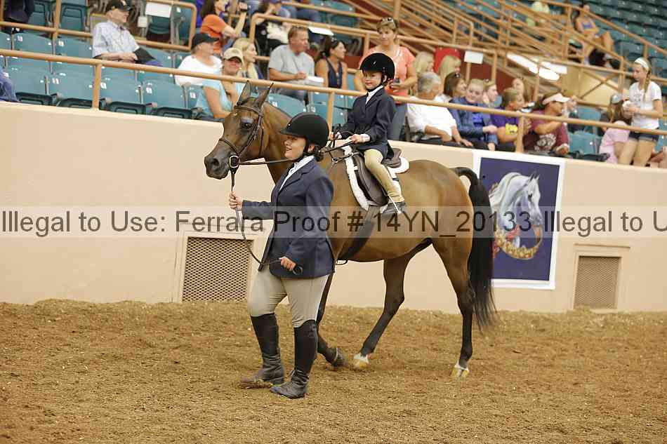 Proof 14yn_20133