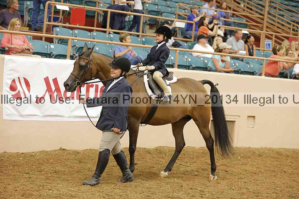 Proof 14yn_20134