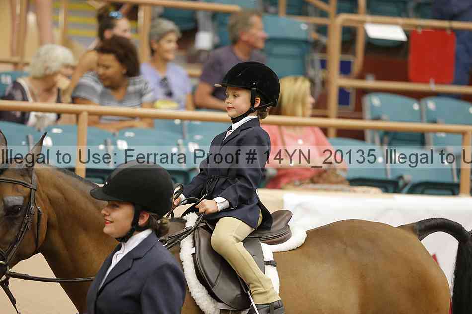 Proof 14yn_20135