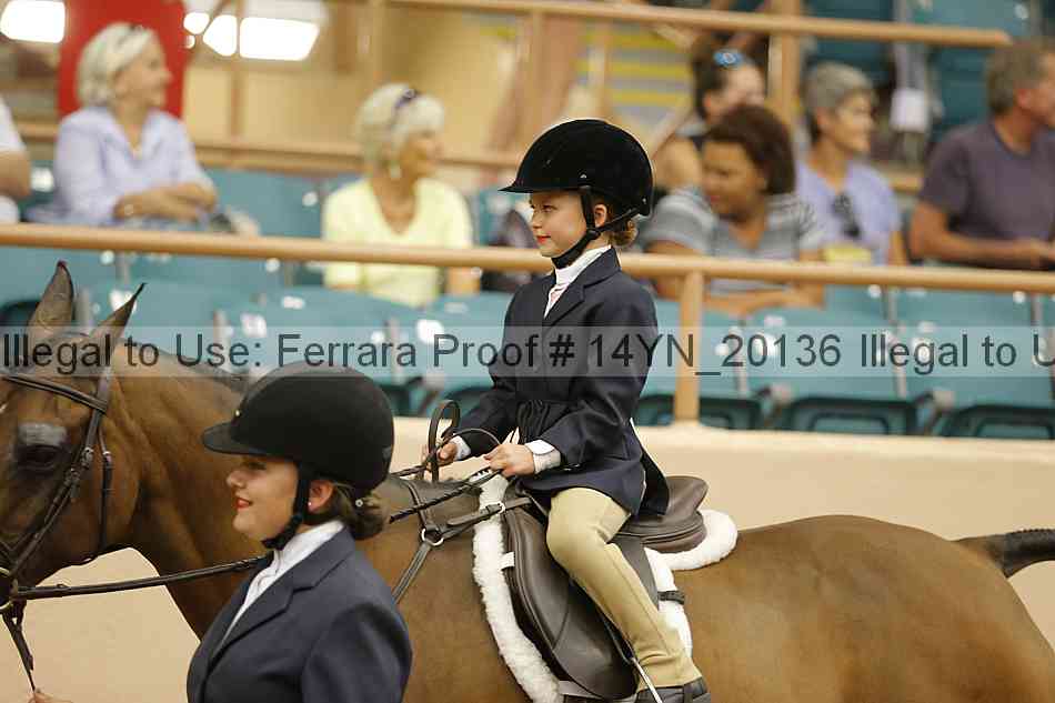 Proof 14yn_20136