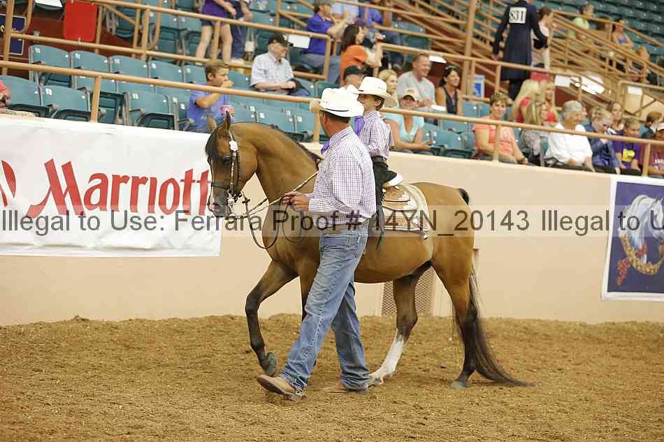 Proof 14yn_20143